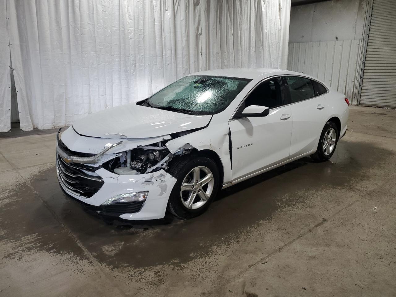 Lot #3317760081 2023 CHEVROLET MALIBU LT