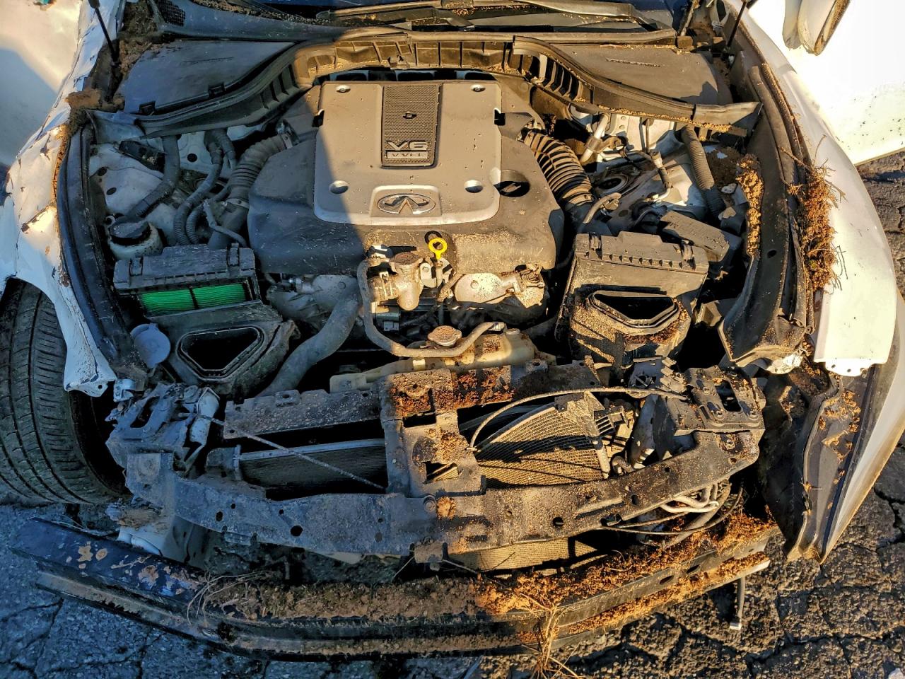 Lot #3318017499 2017 INFINITI Q70 3.7