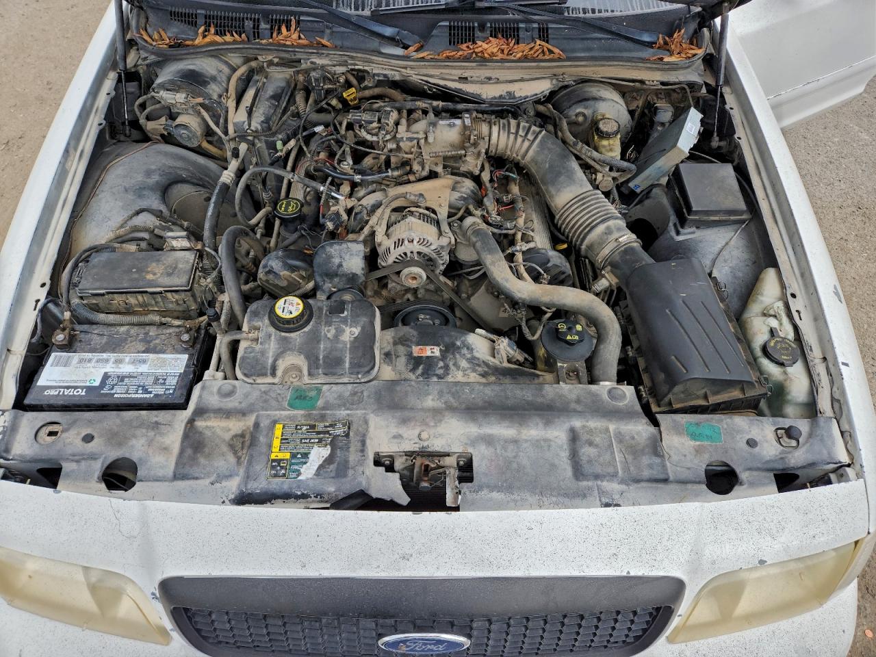 Lot #3304566471 2004 FORD CROWN VICT