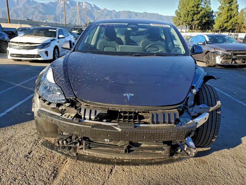 2023 TESLA MODEL 3 #3303002640