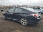 Lot #3294254887 2012 HYUNDAI SONATA HYB