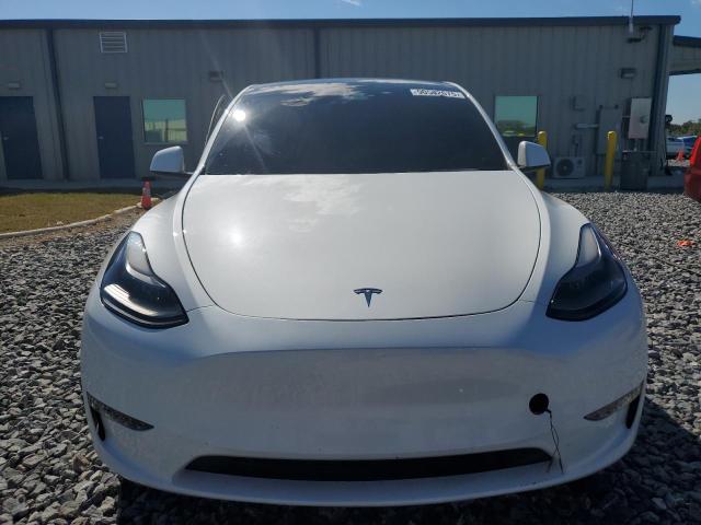 2023 TESLA MODEL Y #3302913055