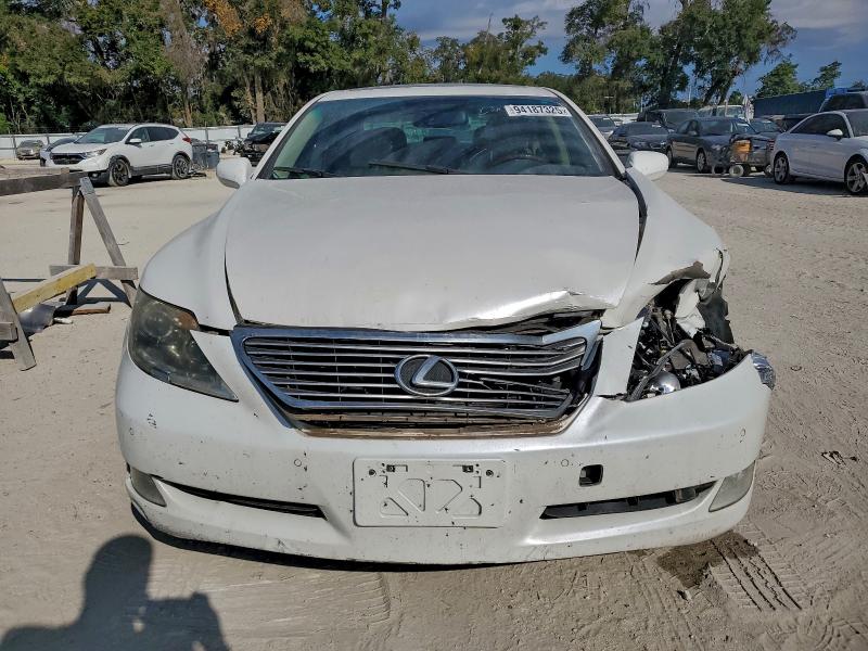 2009 LEXUS LS 460 #3297115536