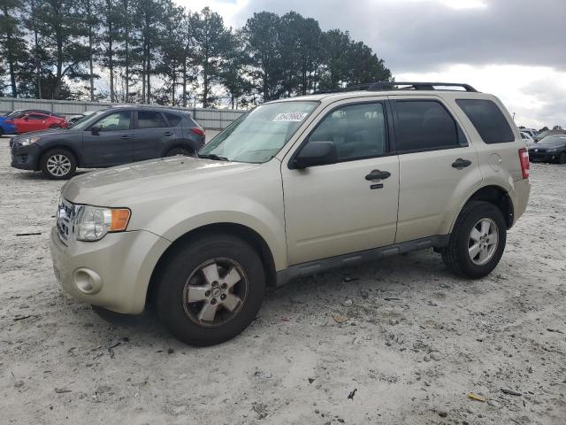 Global Auto Auctions: 2010 FORD ESCAPE XLT