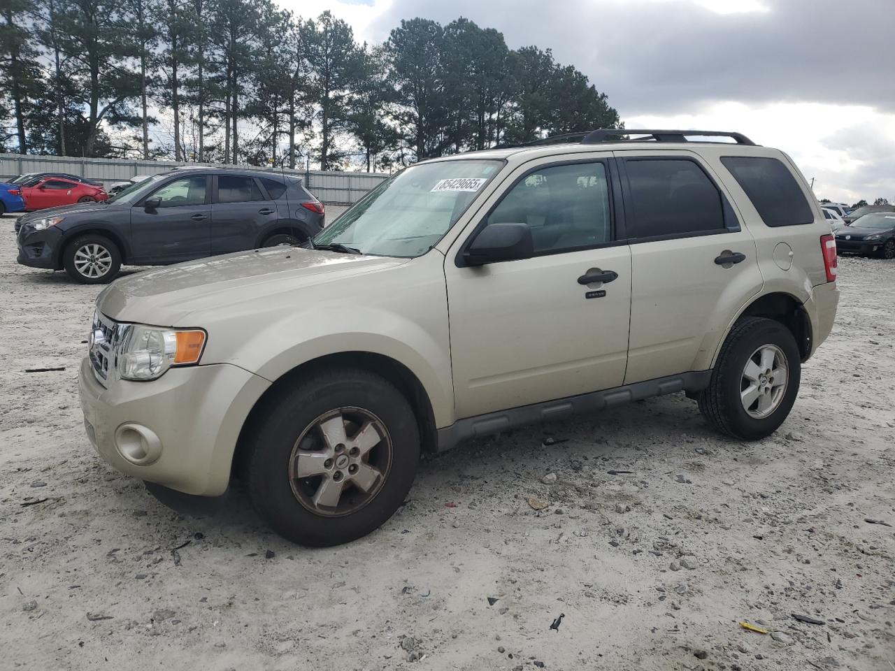 Lot #3287665034 2010 FORD ESCAPE XLT