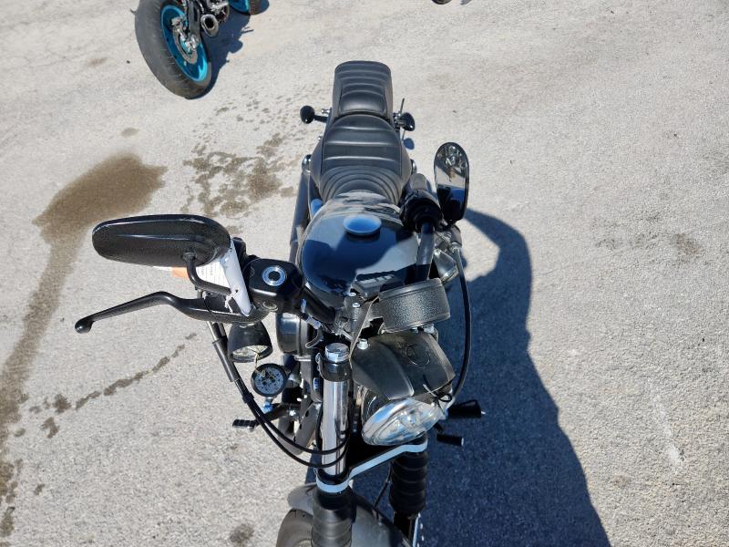 2022 HARLEY-DAVIDSON XL883 N #3292690612