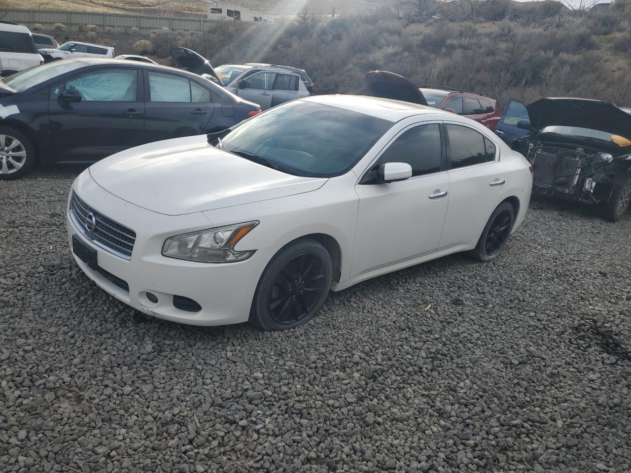 Lot #3284965960 2009 NISSAN MAXIMA S