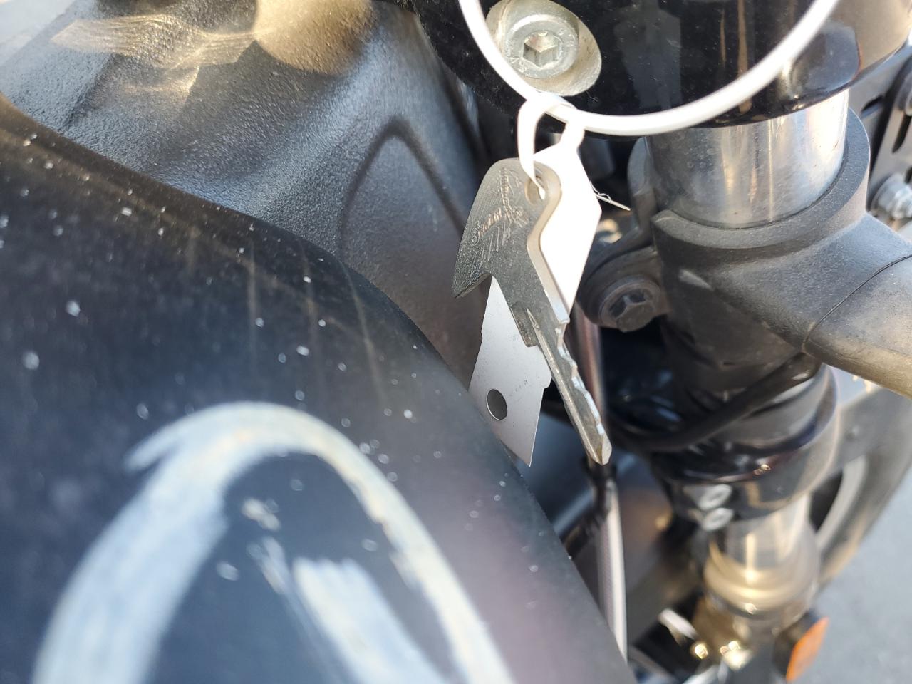 Lot #3309608563 2017 INDIAN MOTORCYCLE CO. SCOUT