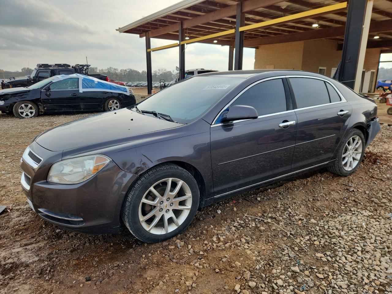 CHEVROLET MALIBU 1LT