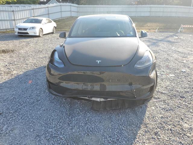2025 TESLA MODEL Y #3287409364