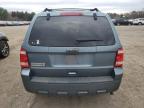 Lot #3309564576 2011 FORD ESCAPE XLT