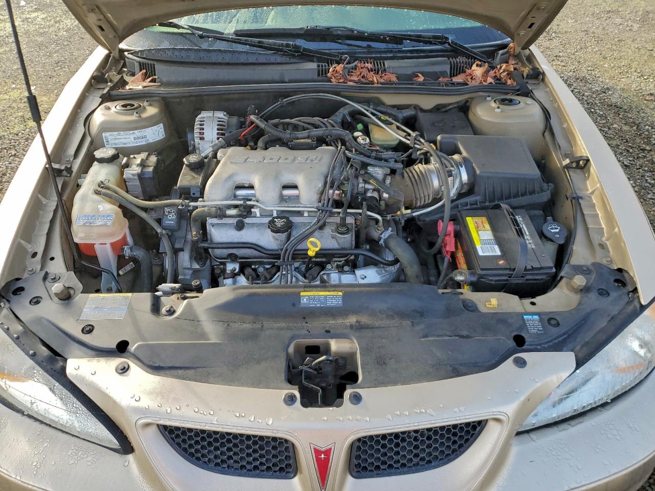 Lot #3318162367 2003 PONTIAC GRAND AM S