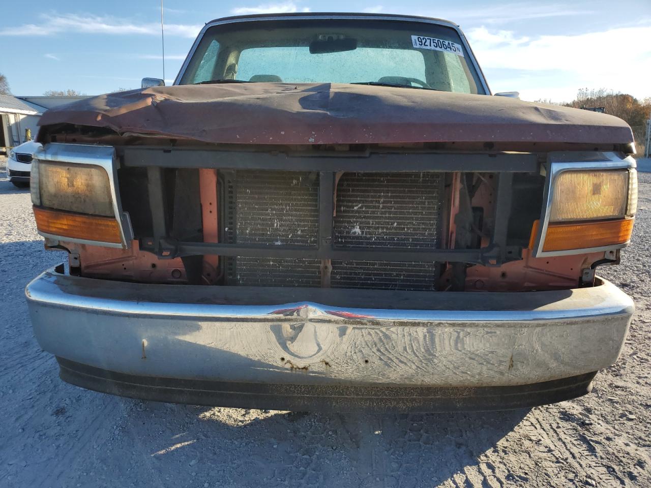 Lot #3304596434 1995 FORD F150