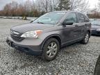Lot #3305323335 2009 HONDA CR-V EX