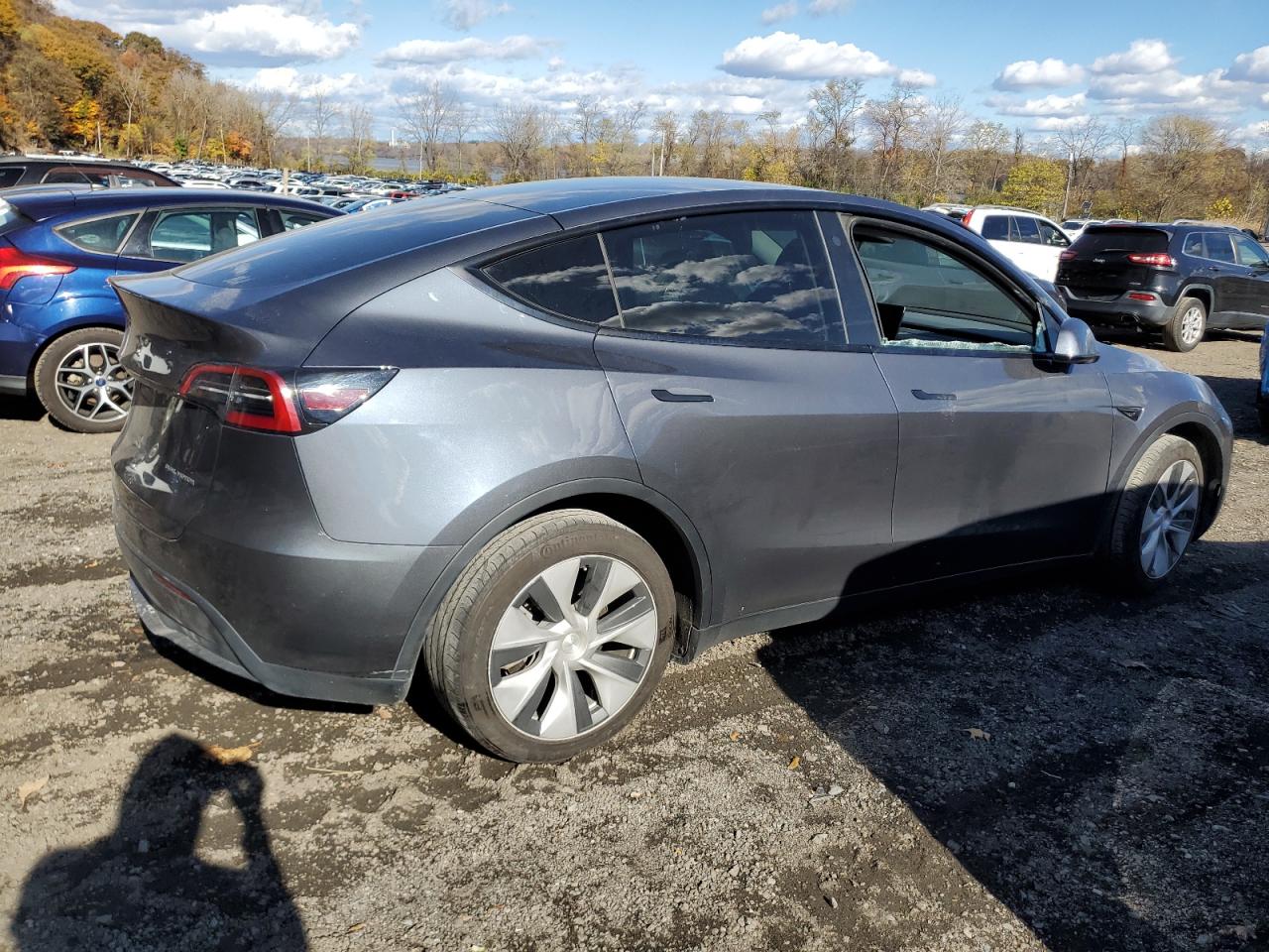 Lot #3301603627 2023 TESLA MODEL Y