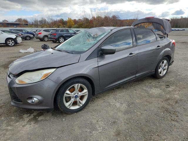 Global Auto Auctions: 2012 FORD FOCUS SE