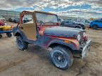 Lot #3317747072 1974 JEEP WILLEY