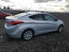 Lot #3315794345 2011 HYUNDAI ELANTRA GL