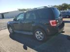 Lot #3317956933 2011 FORD ESCAPE LIM