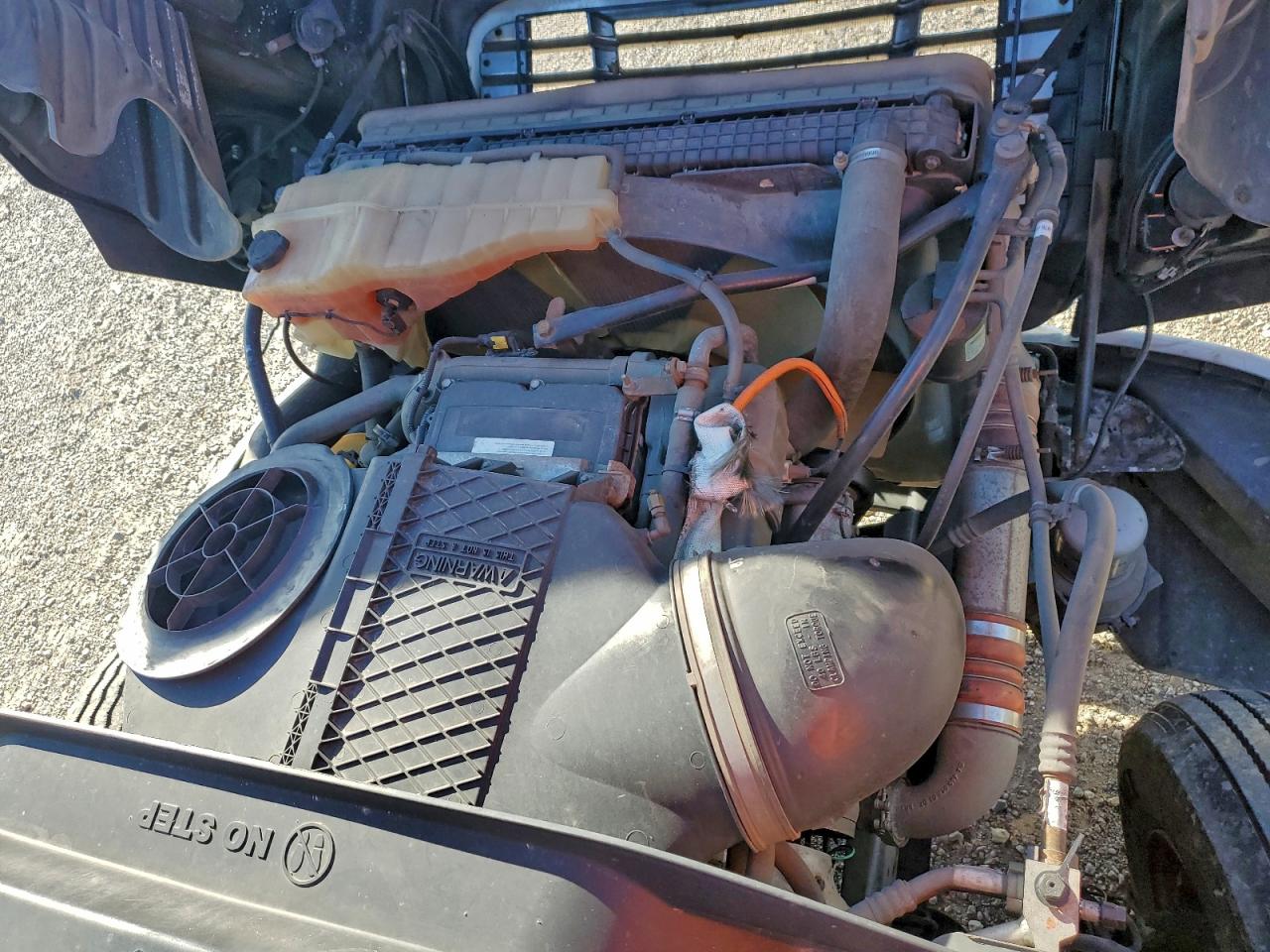 Lot #3284687335 2019 FREIGHTLINER CASCADIA 1