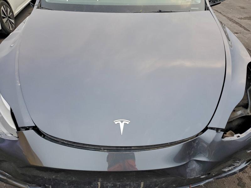 2023 TESLA MODEL Y #3298261035