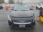 Lot #3304714927 2014 NISSAN MAXIMA S