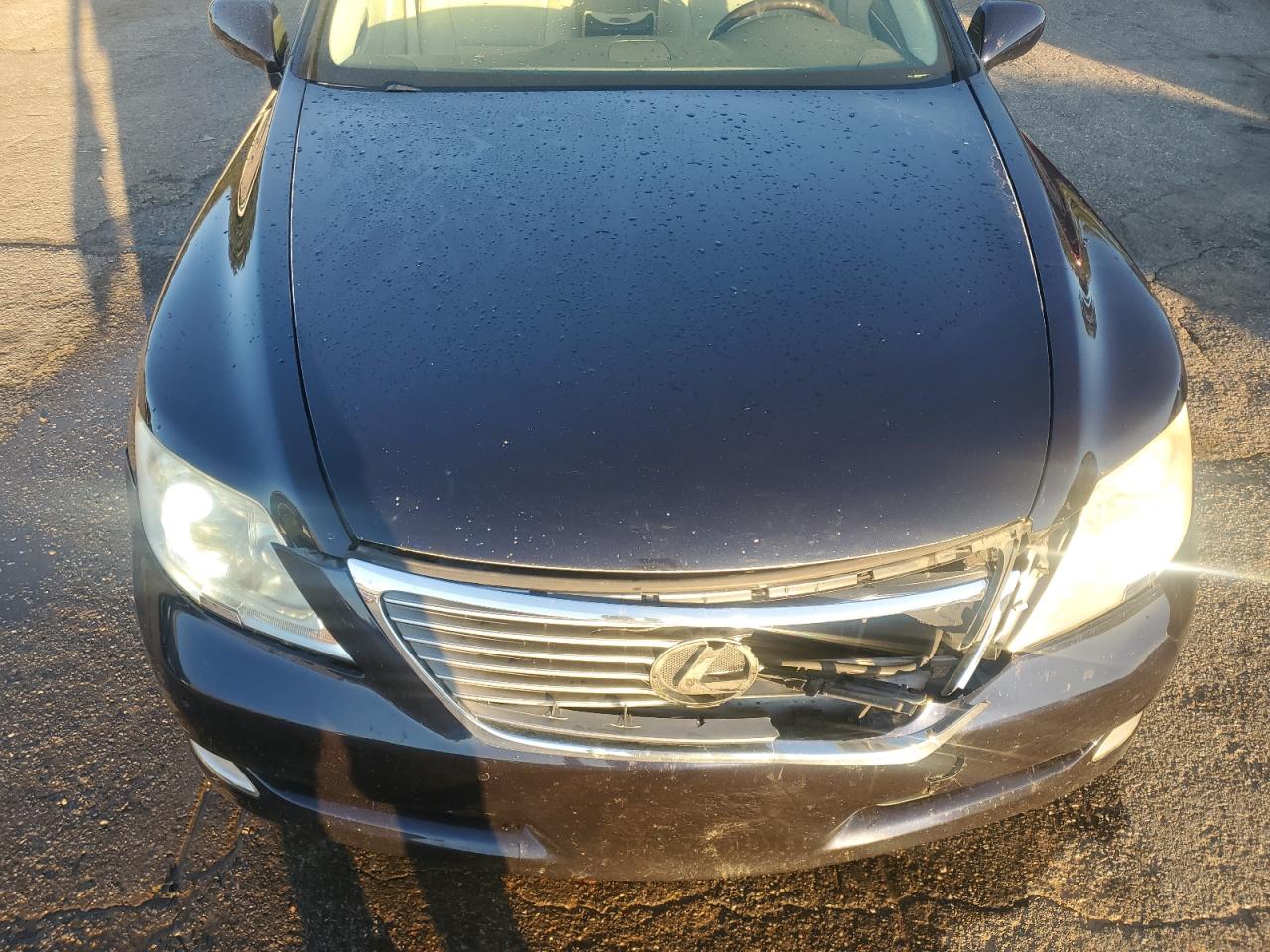 Lot #3281578404 2008 LEXUS LS 460L