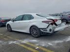 Lot #3301746393 2023 TOYOTA CAMRY XLE