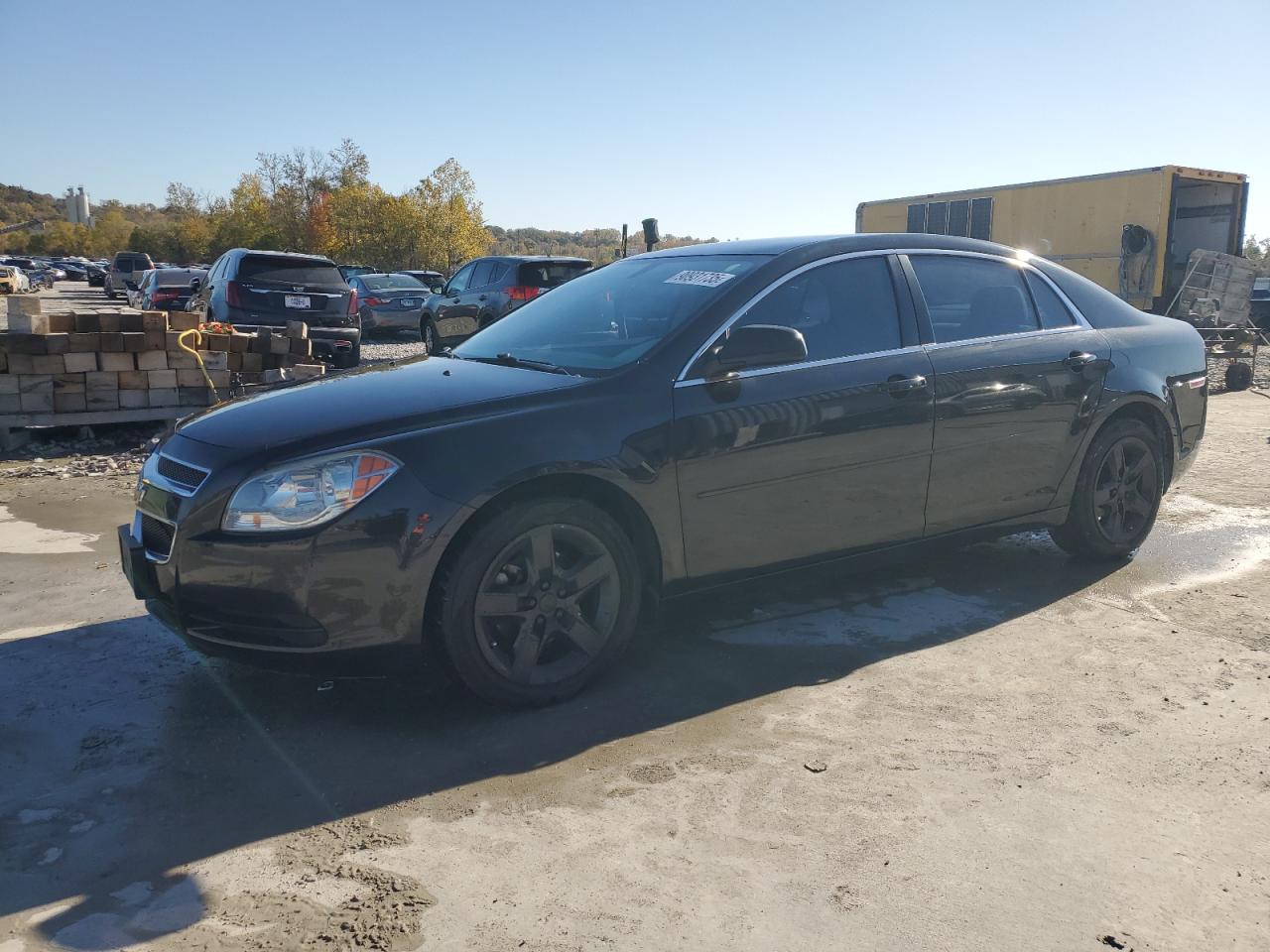 Lot #3285012985 2011 CHEVROLET MALIBU LS