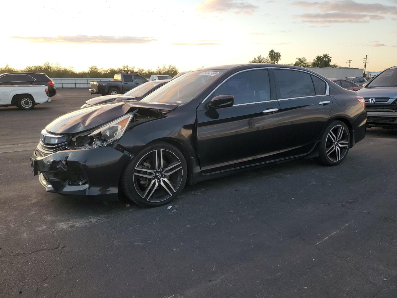 HONDA ACCORD SPORT