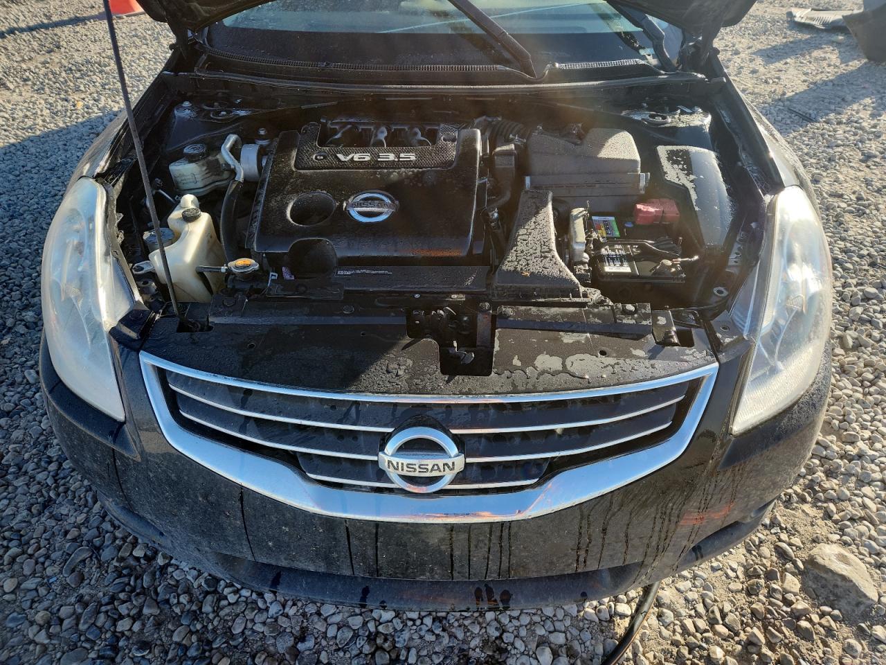 NISSAN ALTIMA SR
