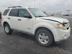 Lot #3296220432 2012 FORD ESCAPE HYB