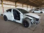 Lot #3302663038 2023 TESLA MODEL Y