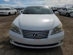 Lot #3303779434 2011 LEXUS ES 350
