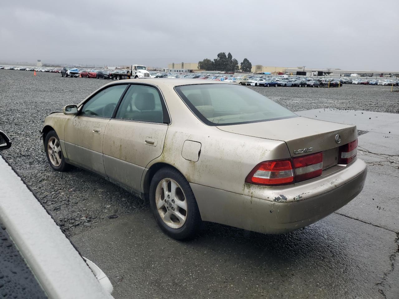 Lot #3290305229 2000 LEXUS ES 300
