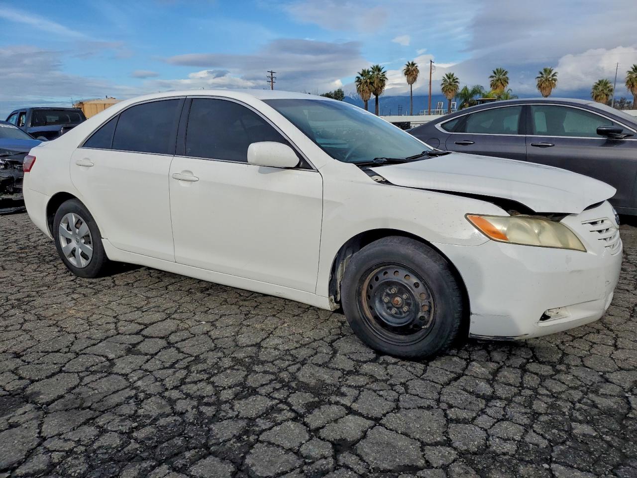 Lot #3305444156 2009 TOYOTA CAMRY BASE