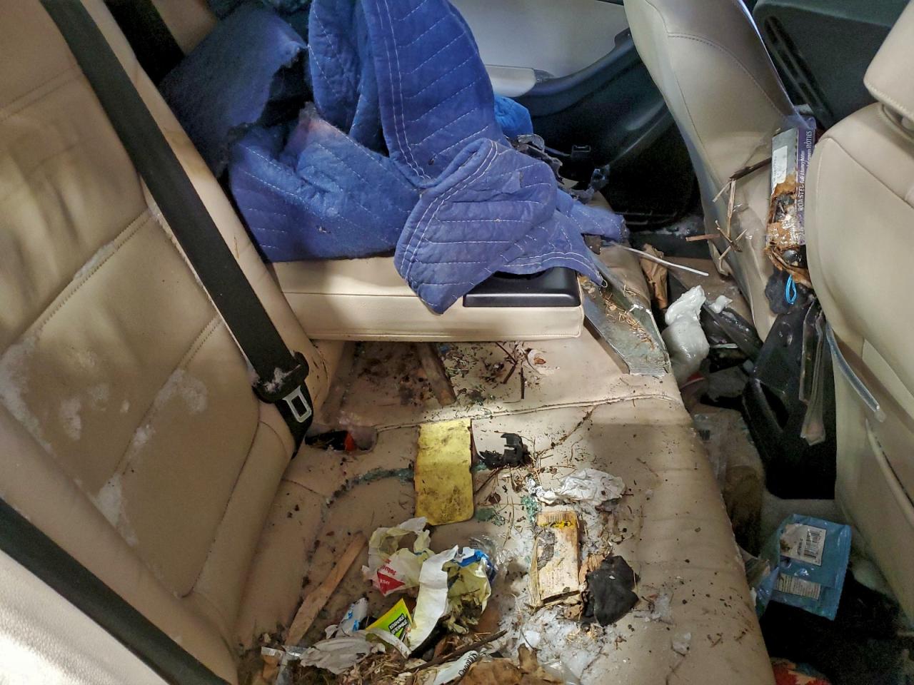 VOLKSWAGEN JETTA TDI