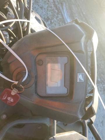 2024 HONDA TRX520 FM #3304773918