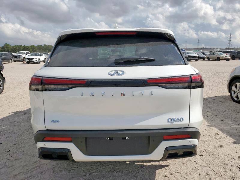 2025 INFINITI QX60 LUXE #3294080943