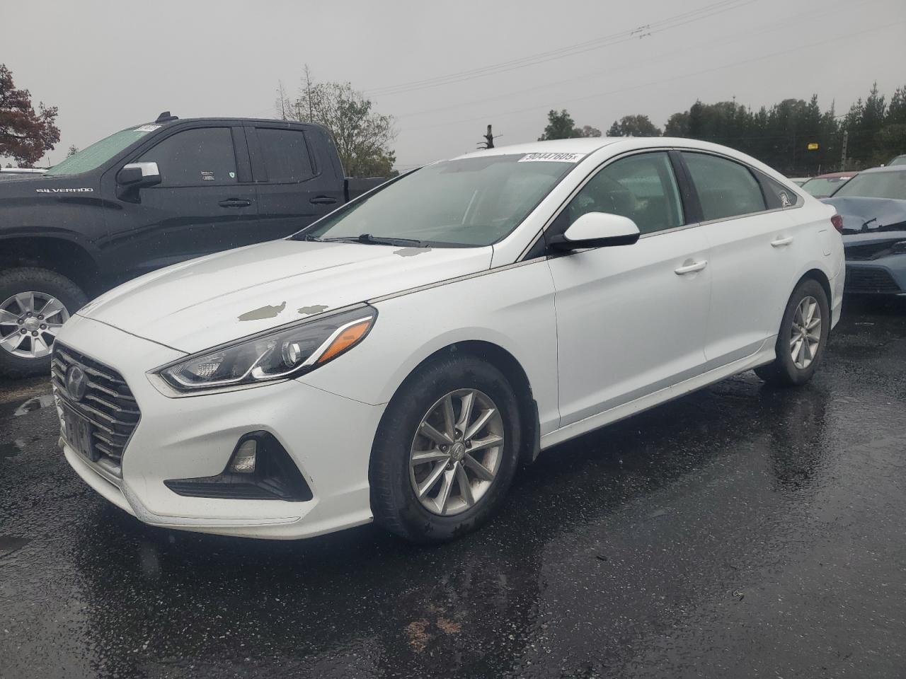 Lot #3290179228 2019 HYUNDAI SONATA SE