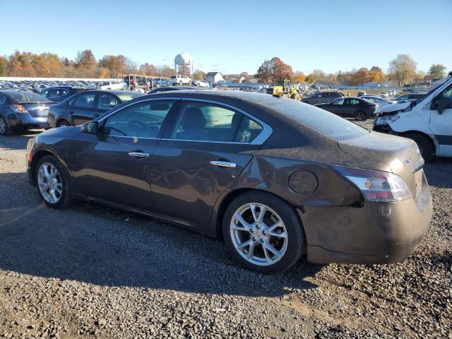 2013 NISSAN MAXIMA S - 1N4AA5AP7DC836148
