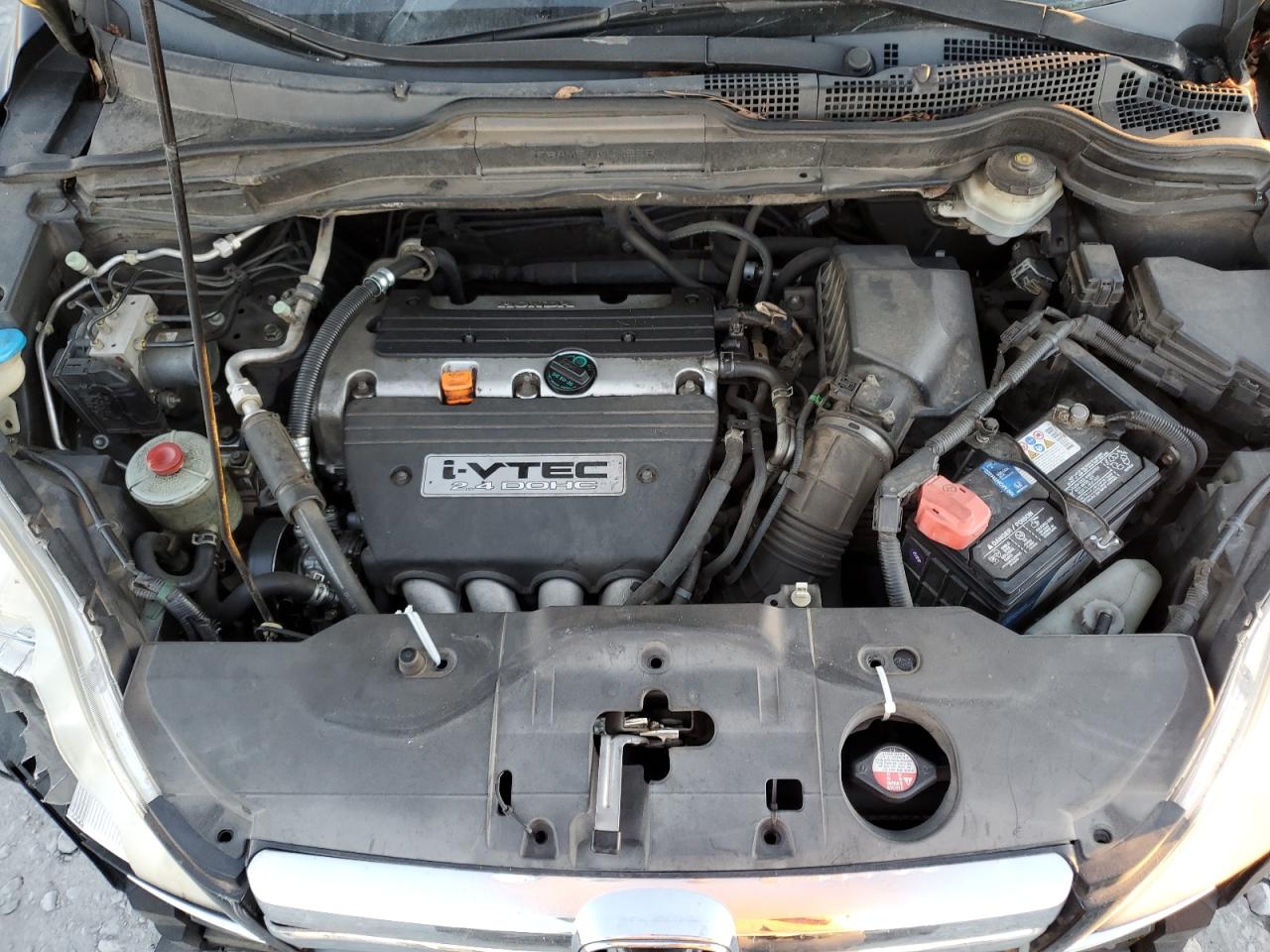 Lot #3291255963 2008 HONDA CR-V EXL