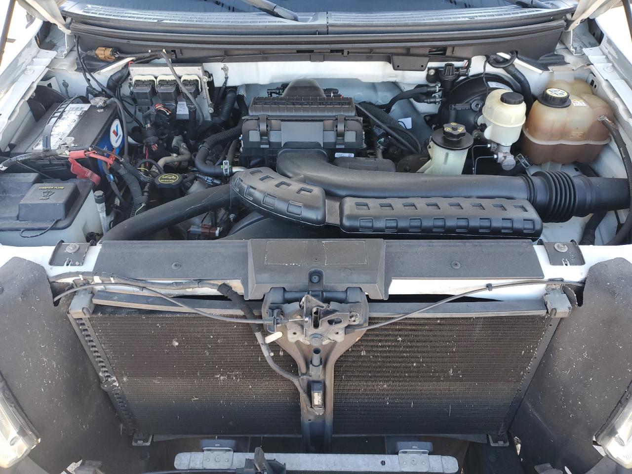 Lot #3305368316 2007 FORD F150