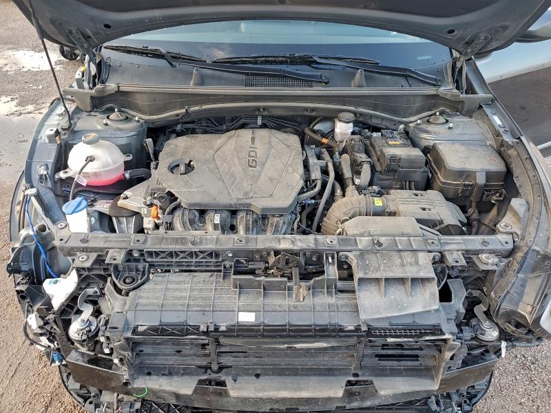 2025 KIA SPORTAGE L #3304635951