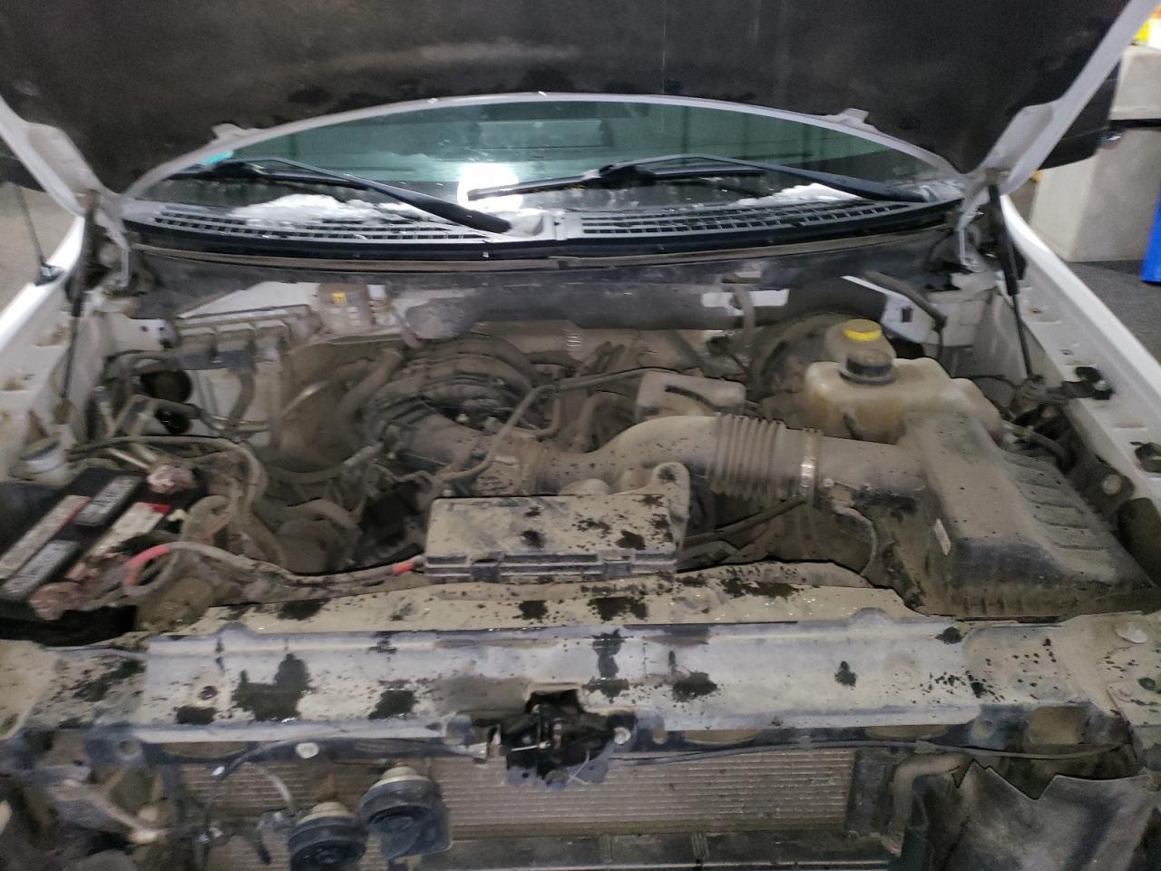 Lot #3285930562 2014 FORD F150