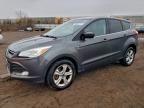 Lot #3296955852 2016 FORD ESCAPE SE