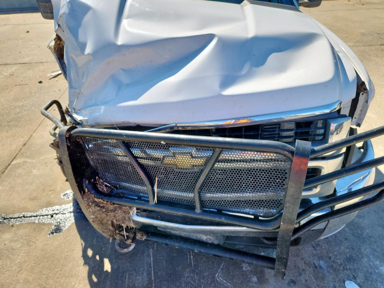 Lot #3287590033 2009 CHEVROLET SILVERADO