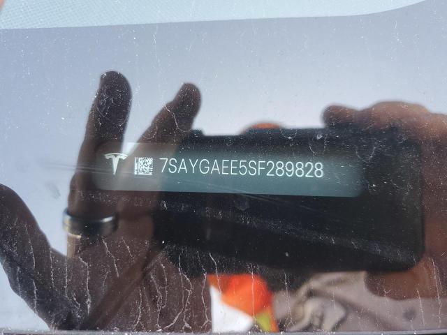 2025 TESLA MODEL Y #3305390324