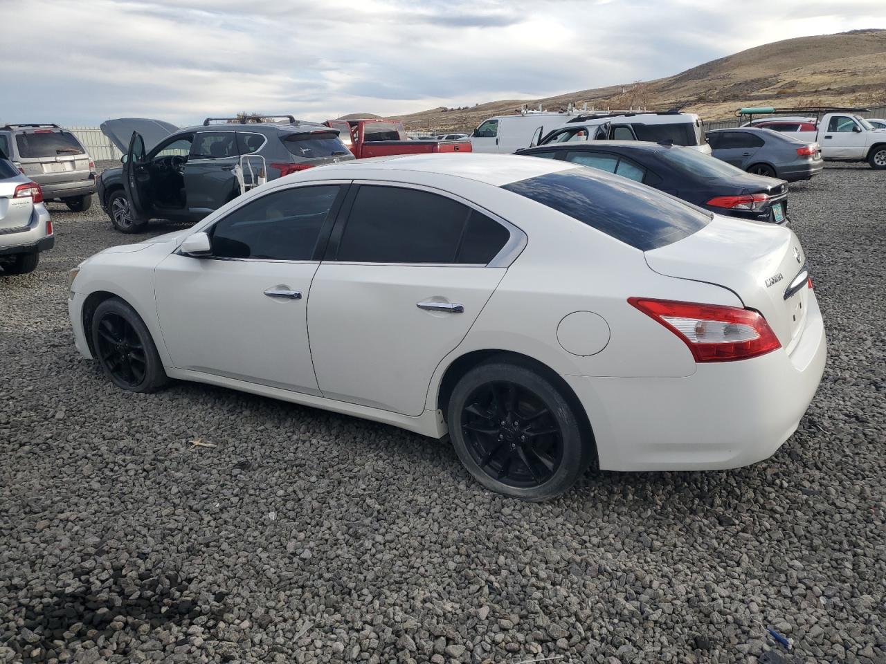 Lot #3284965960 2009 NISSAN MAXIMA S