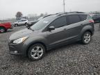 Lot #3294349886 2013 FORD ESCAPE SE